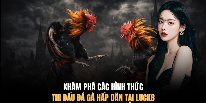Khám phá các hình thức thi đấu đá gà hấp dẫn tại LUCK8