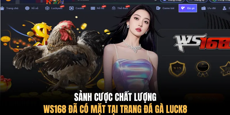 Sảnh cược chất lượng WS168 đã có mặt tại trang đá gà LUCK8
