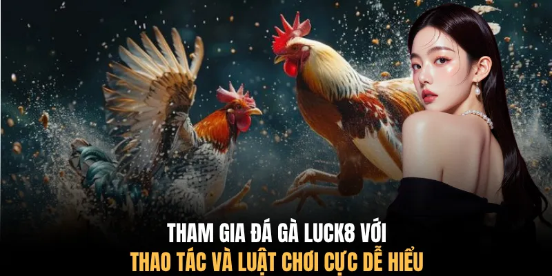 Tham gia đá gà LUCK8 với thao tác và luật chơi cực dễ hiểu